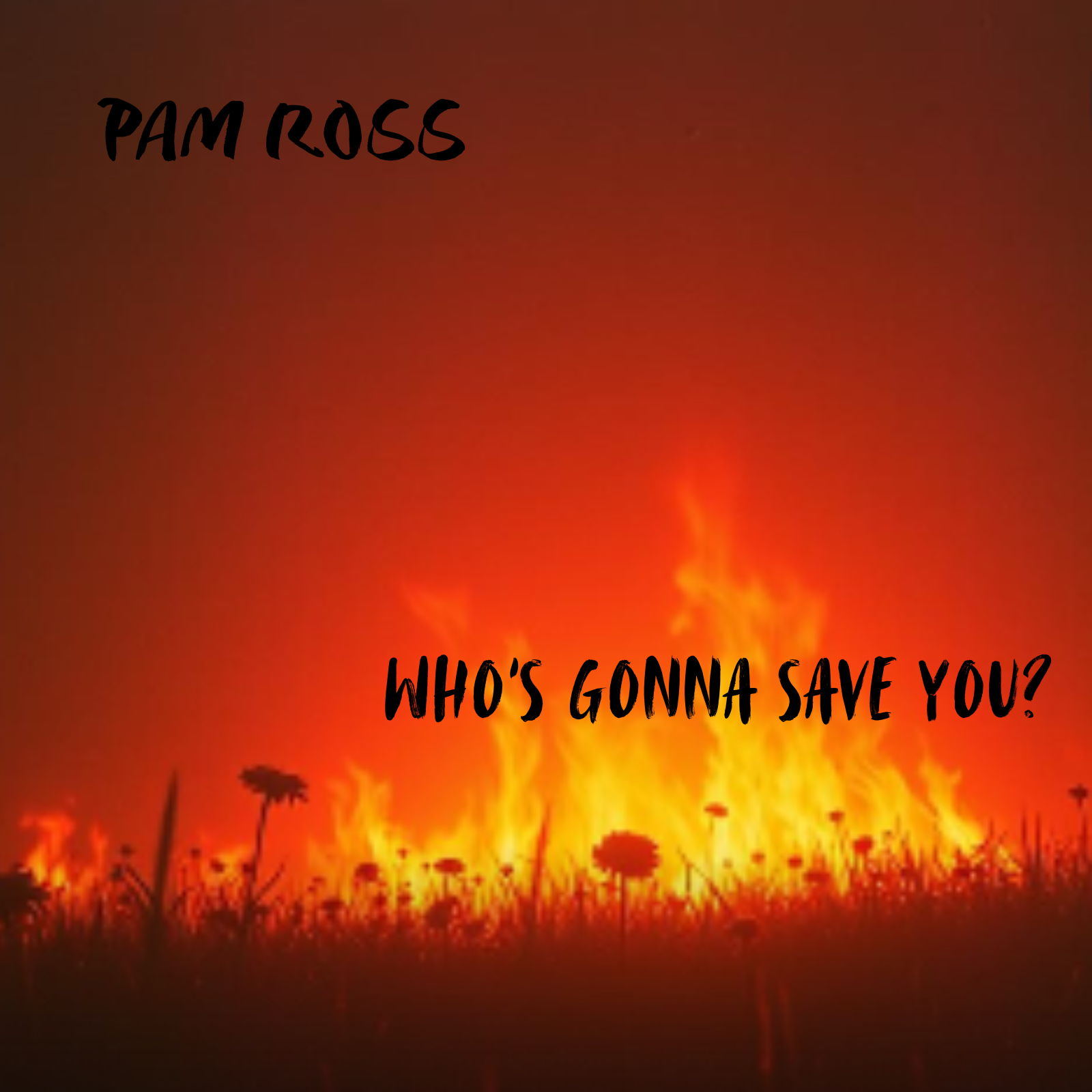 Pam ross